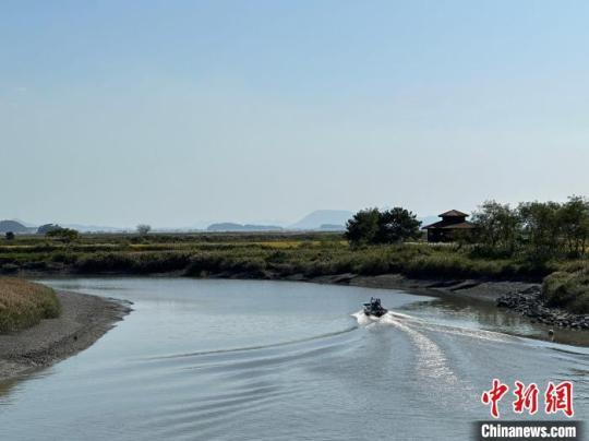 im电竞韩国顺天湾国际园林博览会游客数突破800万(图1)