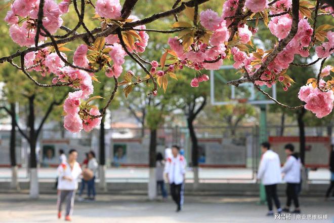 im电竞因不帮写作业被同学打成植物人为什么校园霸凌问题屡禁不止？(图4)