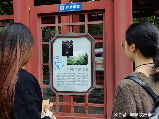 im电竞芙蓉飘四海应用展风采 成都市植物园芙蓉科研推广绽放绚烂篇章(图3)