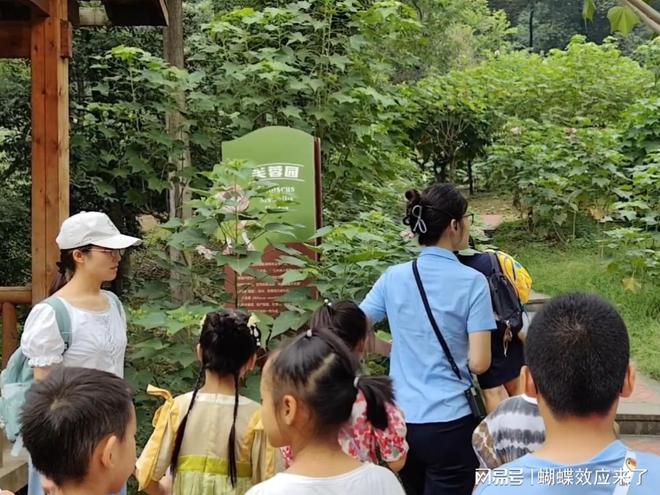 im电竞芙蓉飘四海应用展风采 成都市植物园芙蓉科研推广绽放绚烂篇章(图9)