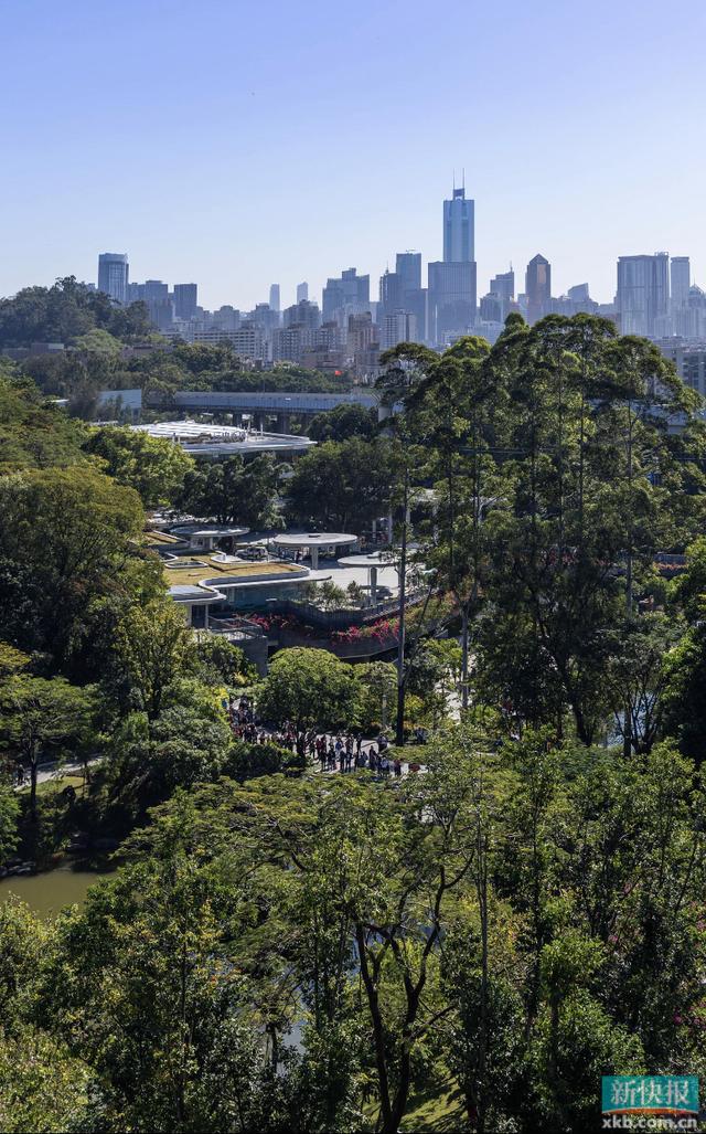 im电竞1500余种植物广州云萝植物园正式开园(图5)