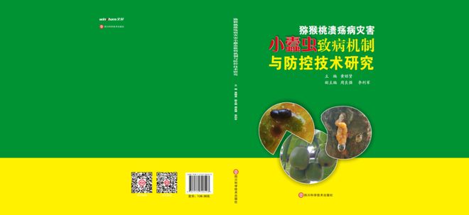 im电竞“猕猴桃医生”黄昭贤：都是蠹虫惹的祸(图16)