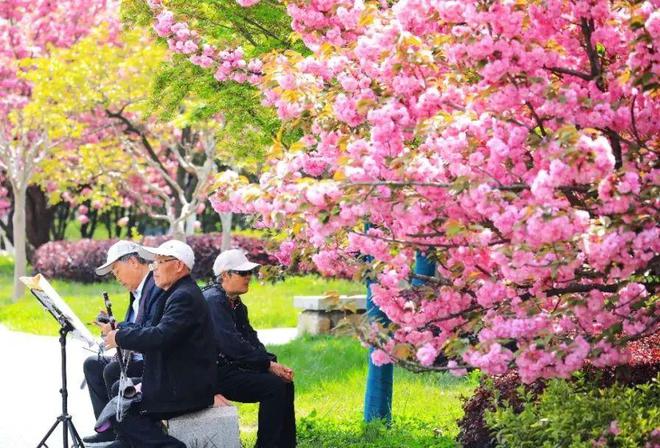 im电竞官方网站日照春日“赏花攻略”来了！(图18)