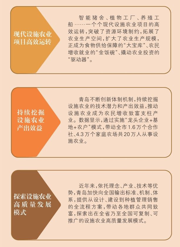 im电竞官方网站扩规模促共富 青岛设施农业“大”显身手(图2)